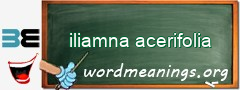 WordMeaning blackboard for iliamna acerifolia